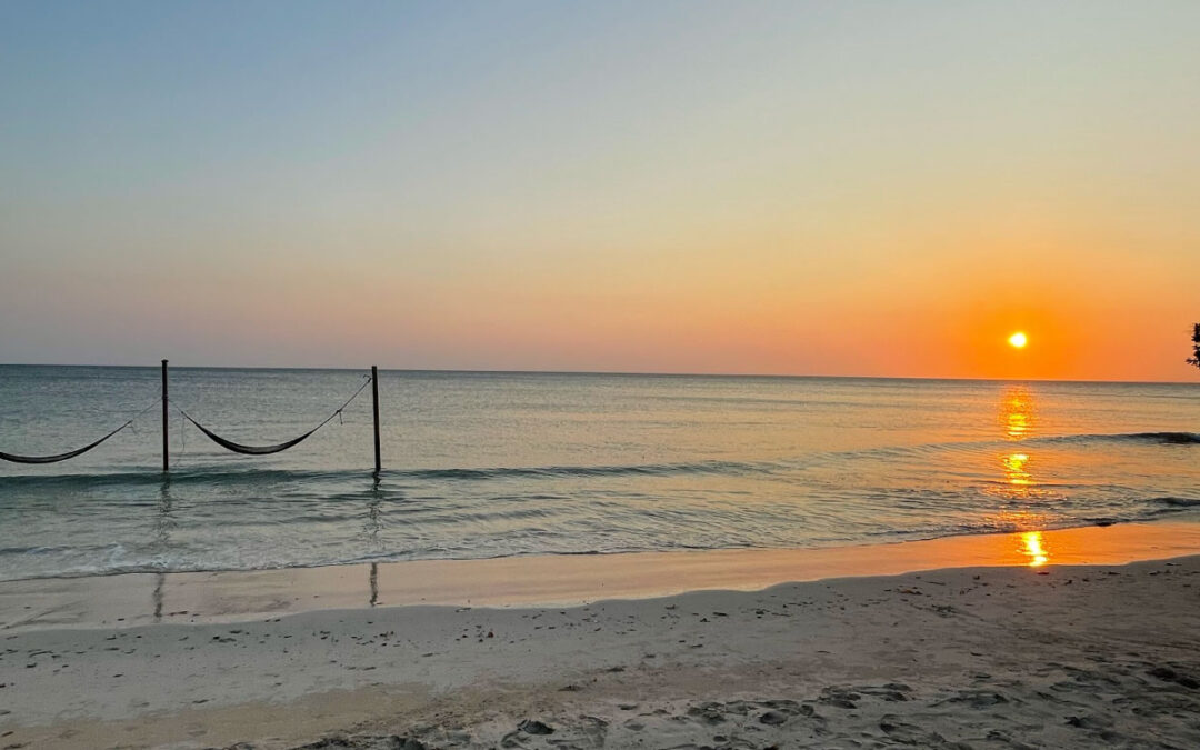 Nueva experiencia en Cartagena pautada por la Alcaldía