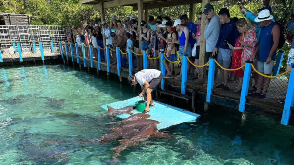 Playa Blanca Baru + Oceanario